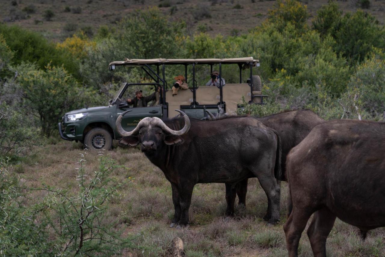 Kuzuko Lodge Addo Exteriör bild